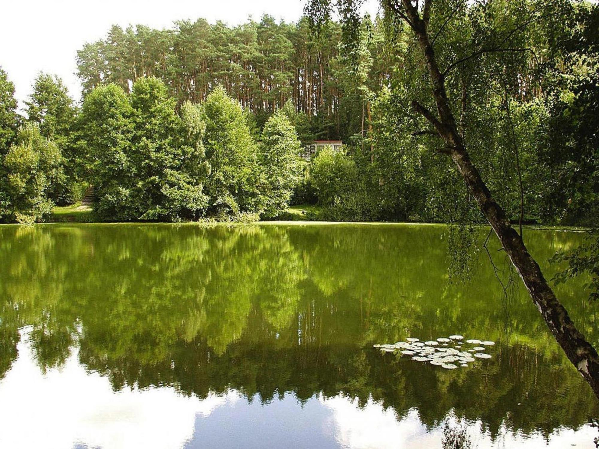 Vacation Settlement Directly At The Grundlossee In Sewekow מראה חיצוני תמונה
